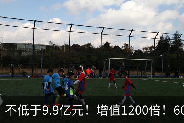 不低于9.9亿元！增值1200倍！600476，涨停