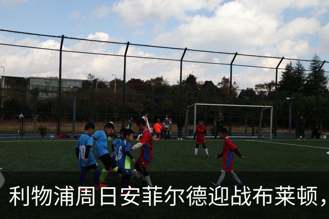 利物浦周日安菲尔德迎战布莱顿，预计改打4-2-3-1