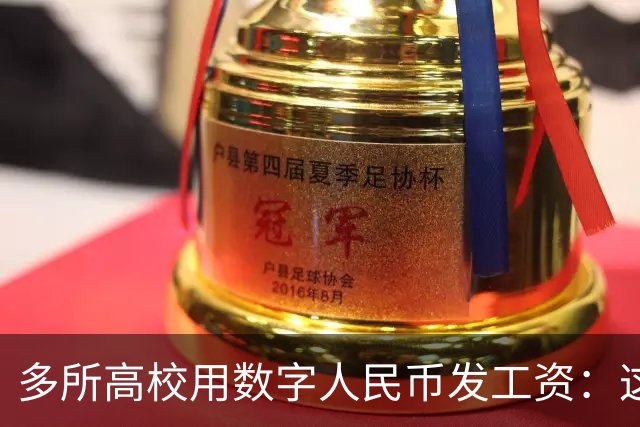 多所高校用数字人民币发工资：这不是换个App那么简单