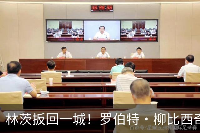 林茨扳回一城！罗伯特·柳比西奇破门