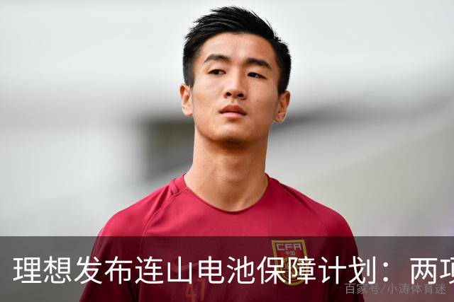 理想发布连山电池保障计划：两项终身保障，电池不自燃碰撞不起火