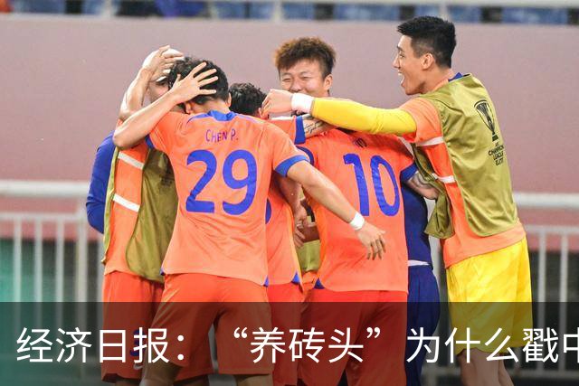 经济日报：“养砖头”为什么戳中年轻人？