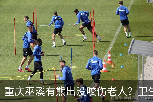 重庆巫溪有熊出没咬伤老人？卫生院工作人员：老人腿部被抓伤，已为其打疫苗