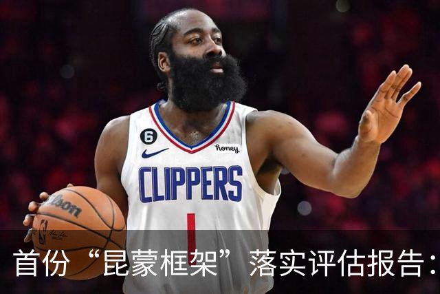 首份“昆蒙框架”落实评估报告：目标进展普遍滞后