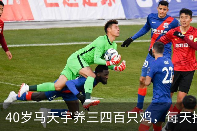 40岁马天宇养三四百只鸡，每天捡100多枚蛋，自曝钱够花便无所谓，是活明白了还是提前认输